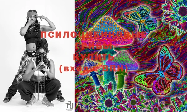 спиды Абинск