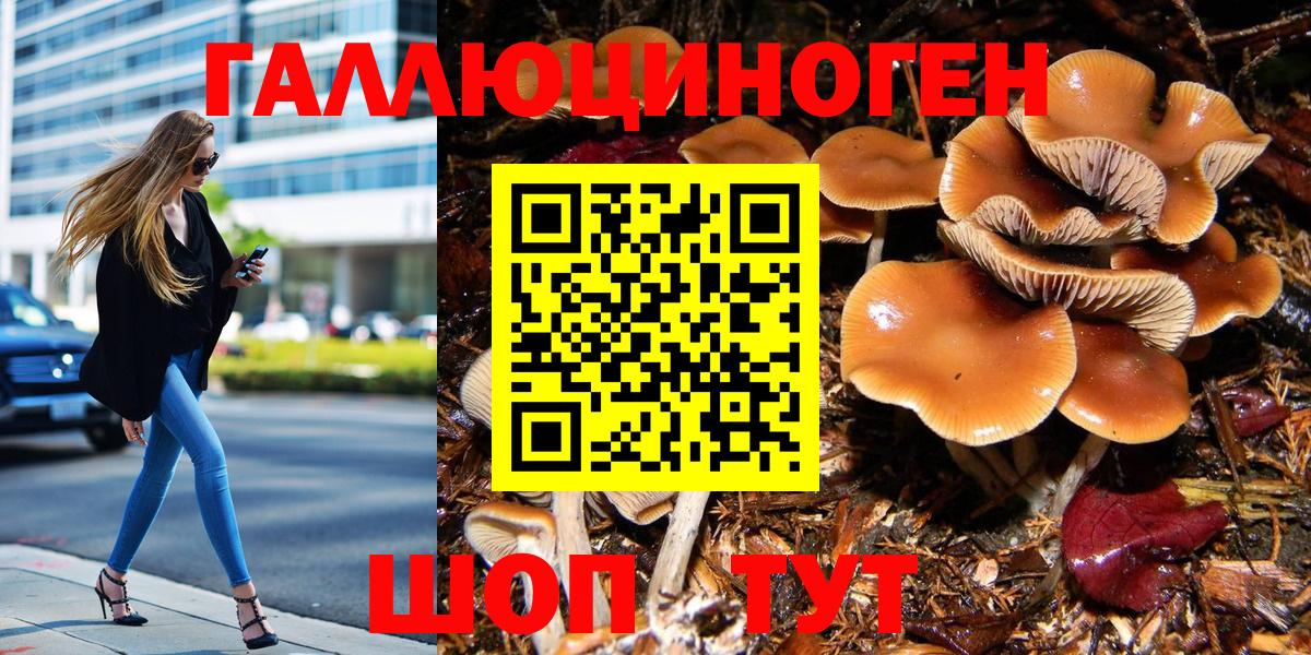 Псилоцибиновые грибы мицелий Орск