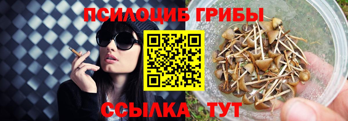 Псилоцибиновые грибы прущие грибы  Вход с VPN  Орск 